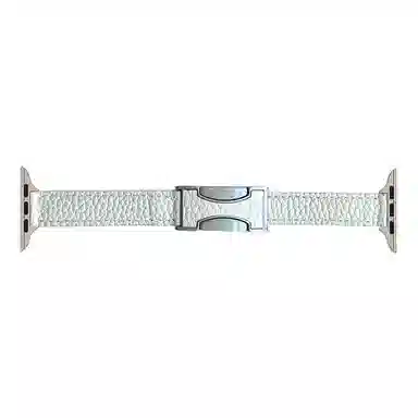 C AppleWatchSeries9S8S6S5WatchUltraSE2