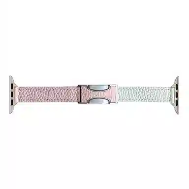 C AppleWatchSeries9S8S6S5WatchUltraSE2