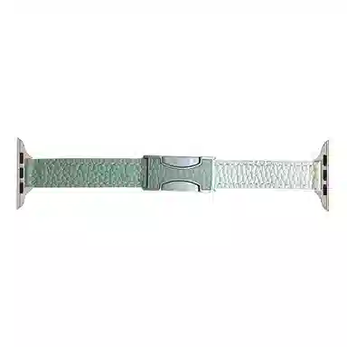 C AppleWatchSeries9S8S6S5WatchUltraSE2