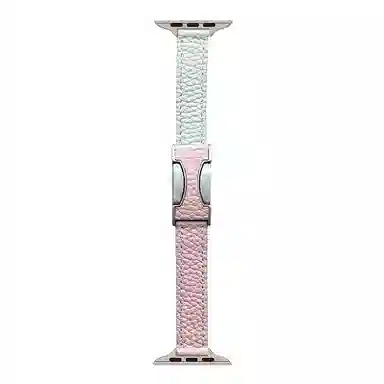 C AppleWatchSeries9S8S6S5WatchUltraSE2