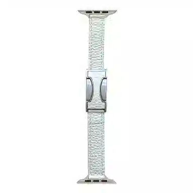 C AppleWatchSeries9S8S6S5WatchUltraSE2