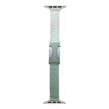 C AppleWatchSeries9S8S6S5WatchUltraSE2