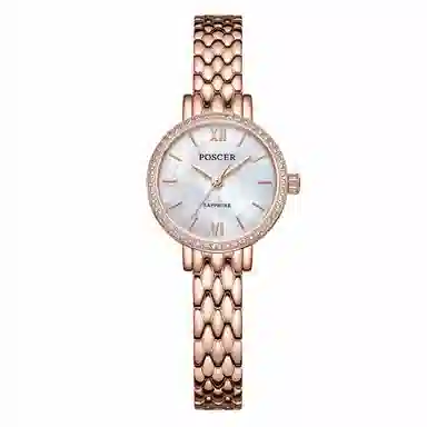 POSCER ins 50111L.RRW