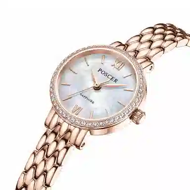 POSCER ins 50111L.RRW