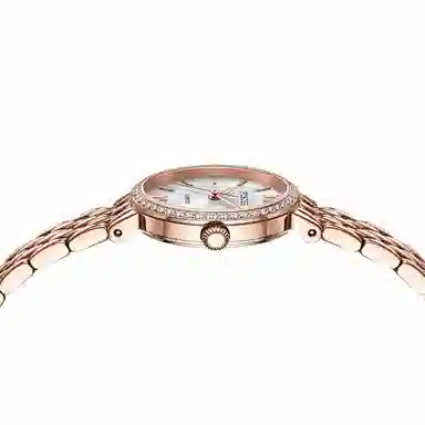 POSCER ins 50111L.RRW