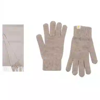 WENSLI