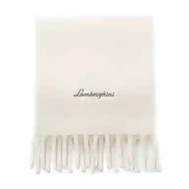 Automobili Lamborghini