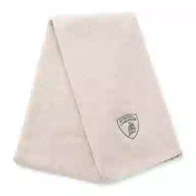 Automobili Lamborghini