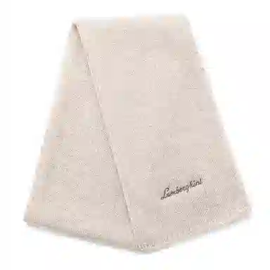 Automobili Lamborghini