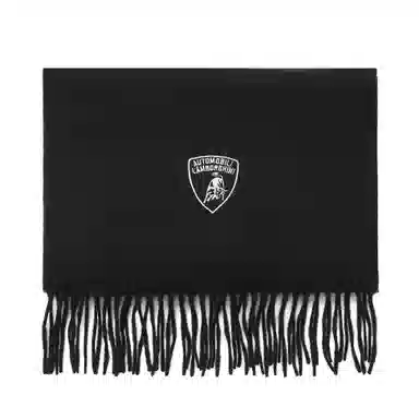 Automobili Lamborghini