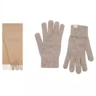 WENSLI