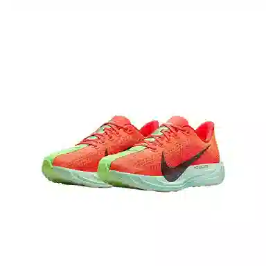 Nike Pegasus Plus