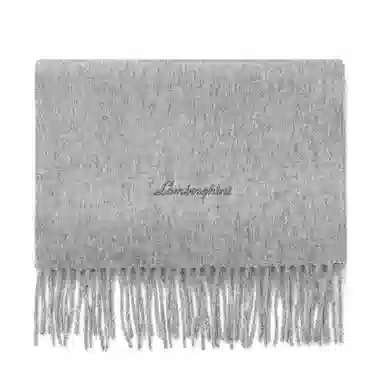 Automobili Lamborghini