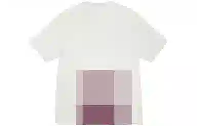 Stussy x OUR LEGACY SS24 logoT