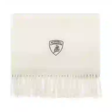 Automobili Lamborghini