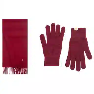 WENSLI