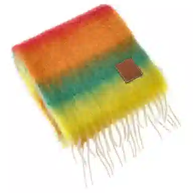 LOEWE Scarf