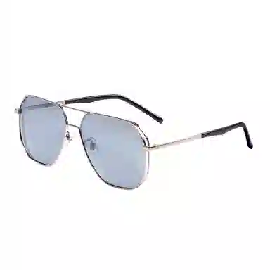 ETTE Aviator Sunglasses