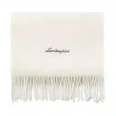 Automobili Lamborghini