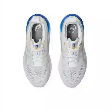 Asics Gel-Kayano 31