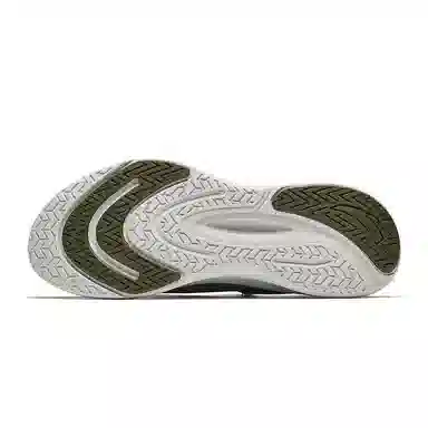 Anta