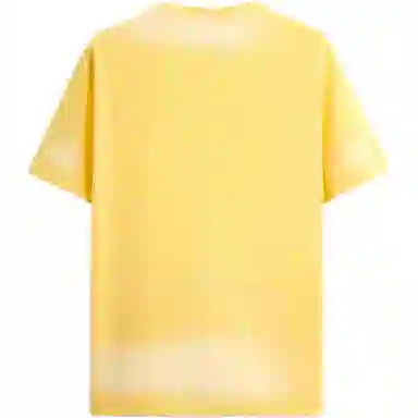 ZARA T