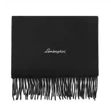 Automobili Lamborghini