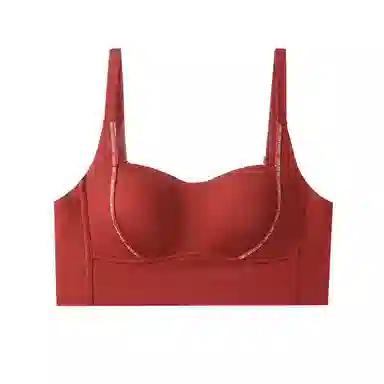 内在密码 抹胸聚拢本命年无钢圈收副乳防下垂无痕文胸 女款