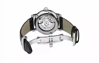 Sea-Gull 819.317 819.316