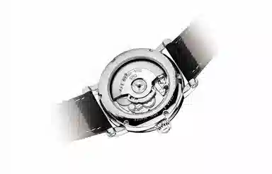 Sea-Gull 819.317 819.316