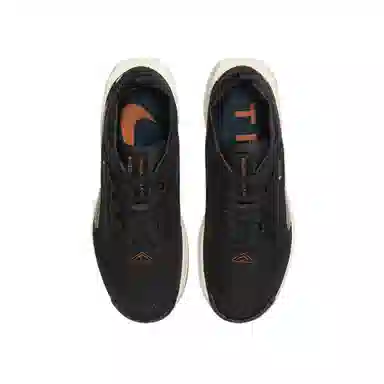 Nike Pegasus Trail 5 GORE-TEX