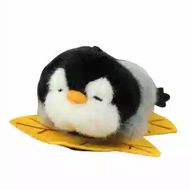 12cm