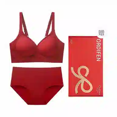 欧迪芬 简约聚拢上托本命年无痕防下垂收副乳内衣裤礼盒 女款