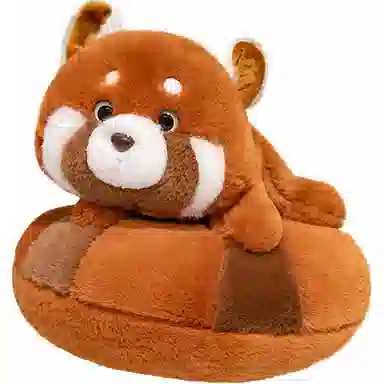 25cm35cm
