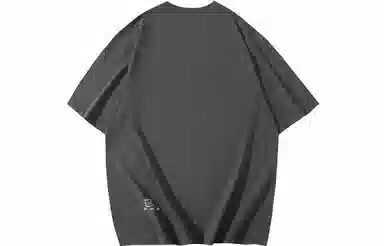 VEIDOORN x POKEMON T