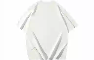 VEIDOORN x POKEMON T