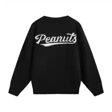 fun x SNOOPY