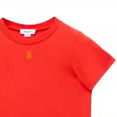 Alexander McQueen Reversible Skull Embroidered T-Shirt FW24 Coral