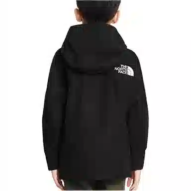 THE NORTH FACE 1994 Mountain JKT Logo