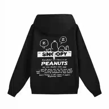 fun x Snoopy