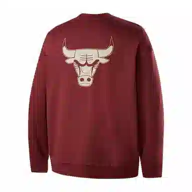 NBA Chicago Bulls