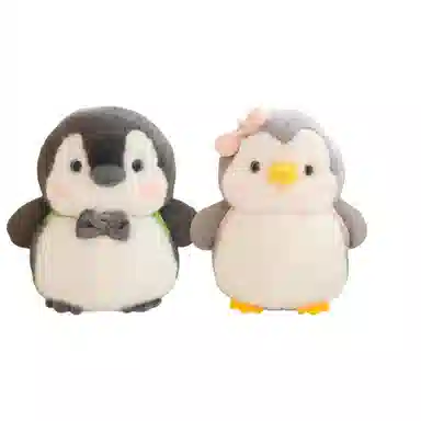 25cm35cm