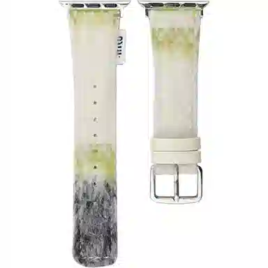 Antey 9Pro8Prowatch5watch4