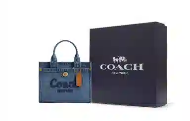 COACH Cargo 20 Indigo