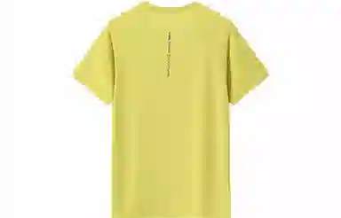 PELLIOT T