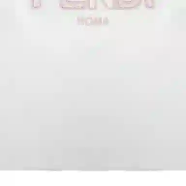 FENDI T