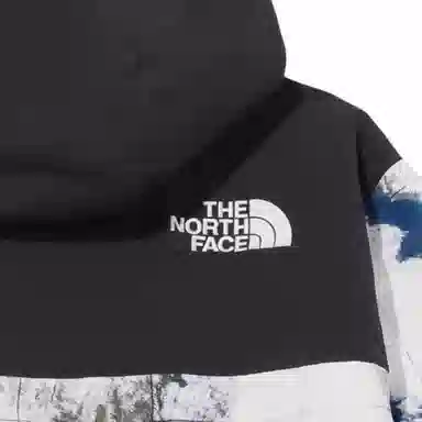 The North Face Novelty Dalton Anorak