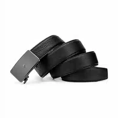 PIERRE CARDIN logo 3.45CM