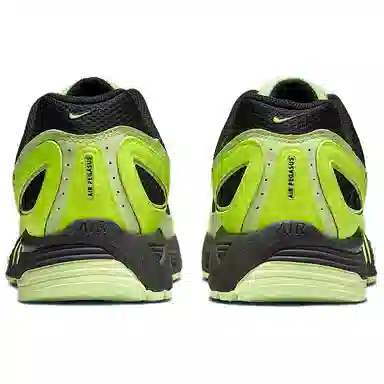 Nike Air Pegasus 2005