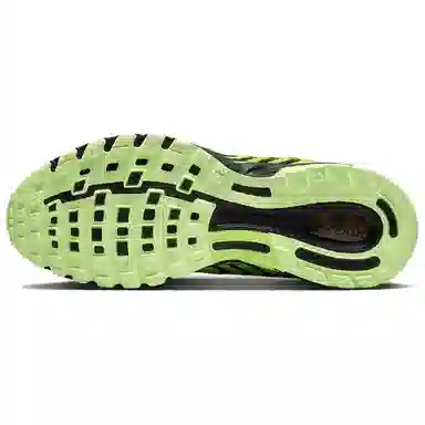 Nike Air Pegasus 2005